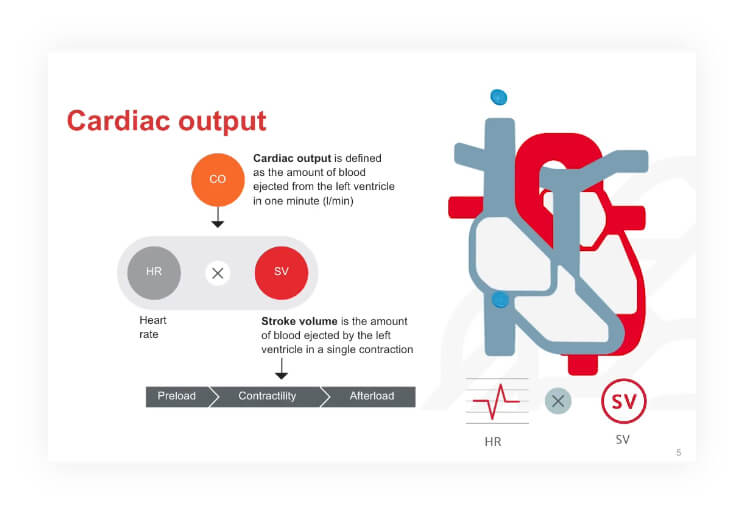 Fisiologia cardiovascular
